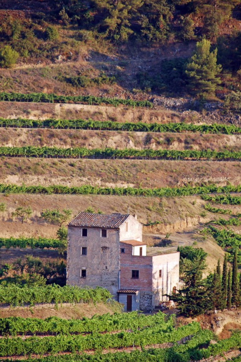 Paisaje Priorat