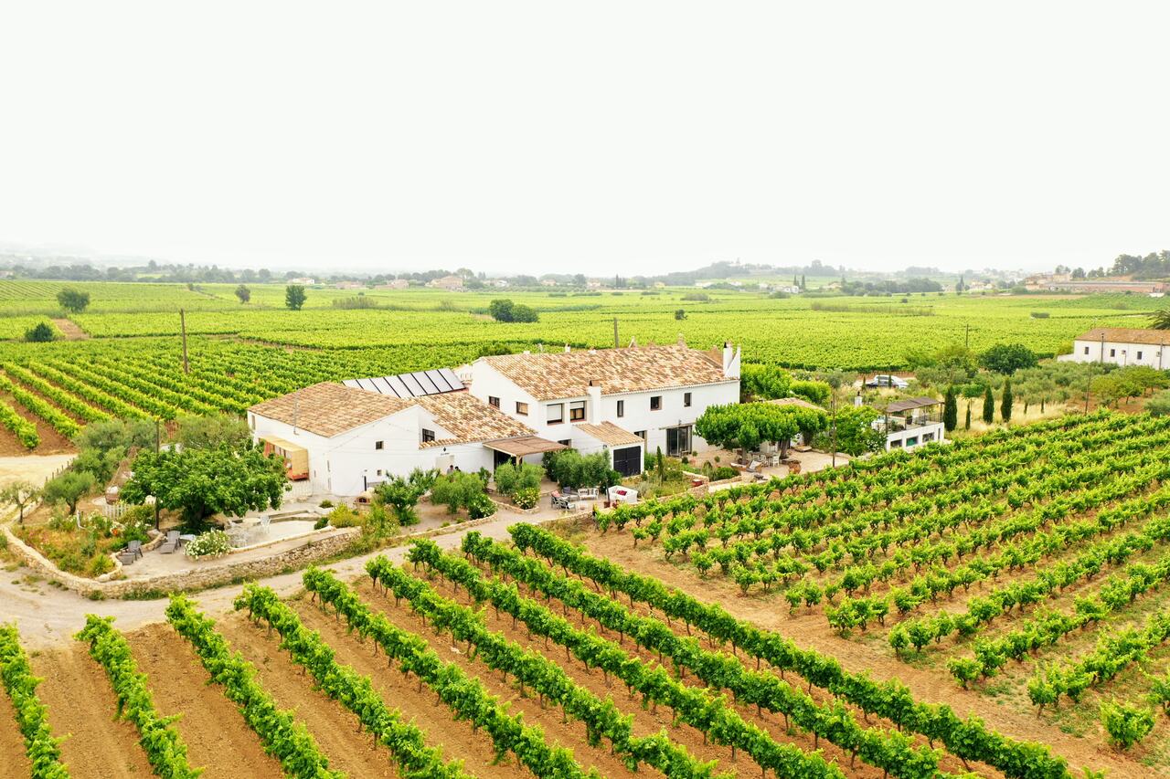 Soul Farm Els Sigols